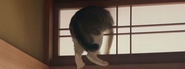 satumaimoさんの壁紙画像