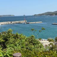 💛🖤さん推しさんのアイコン画像