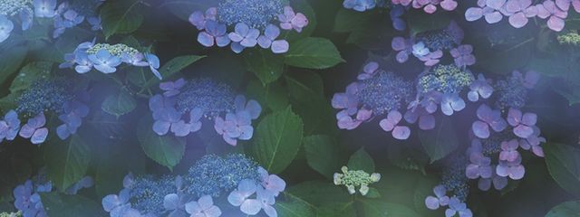 ひめみやさん。@バレンタインエピ遅くなる.さんの壁紙画像