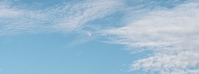 桜笑さんの壁紙画像
