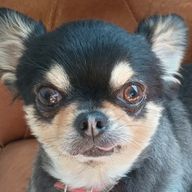 みおさんのアイコン画像