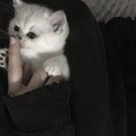 ひうさんのアイコン画像