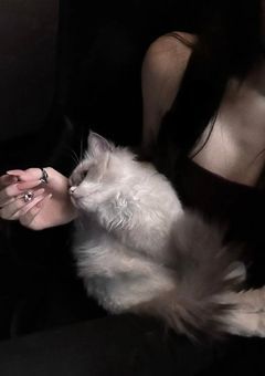 毒舌ラップスター