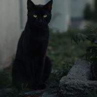 ガットネロさんのアイコン画像