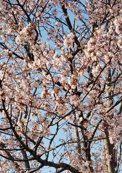 pr看守とpr、突然入れ替わりました!?