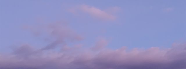 Rariaさんの壁紙画像