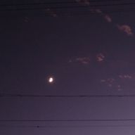 Rariaさんのアイコン画像