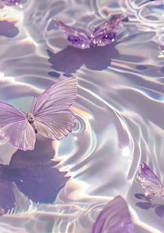 容姿端麗スパイカー