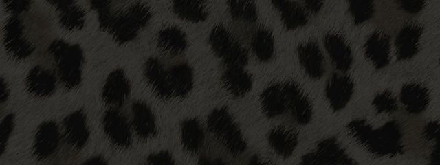 메이さんの壁紙画像