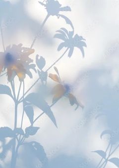 花の名前はUnknown