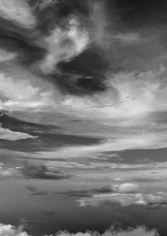 色のない空の下