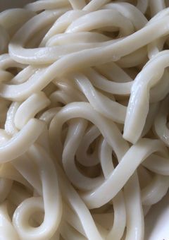 うどん教