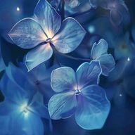 あやさんのアイコン画像