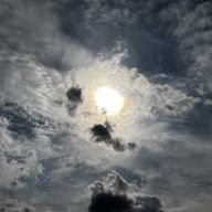 粉コナさんのアイコン画像