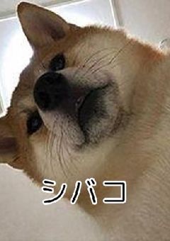 とくろうさんv3