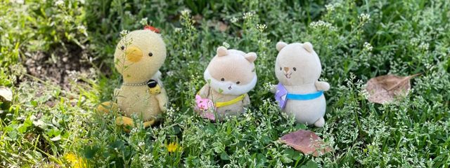 すみれ@チャプター5やば…さんの壁紙画像