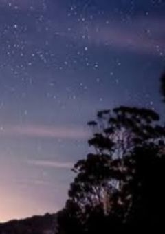 廃校の怪異と殺人事件。〈参加型〉