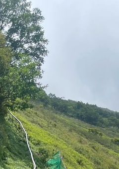 【参加型】どんな過去も乗り越えて