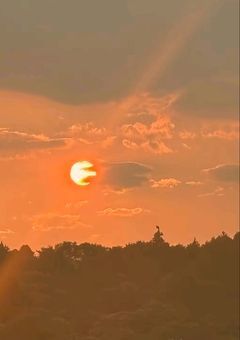 看護師さんは病院が嫌いです