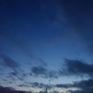 フィコ( 狐桜代 レイ )さんのアイコン画像