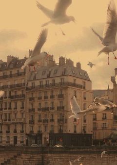 　閉鎖病棟 26 : 00