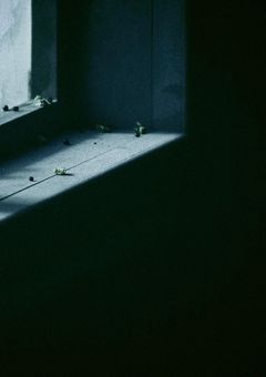 メグリメグル中君を見つけた