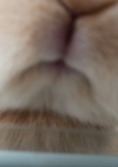 ひとりごと～、てかネッ友募集中(はよこい)