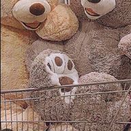 #_えむむ🫧🧸さんのアイコン画像