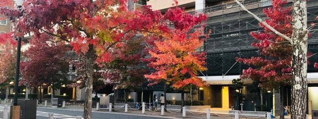 恋月さんの壁紙画像