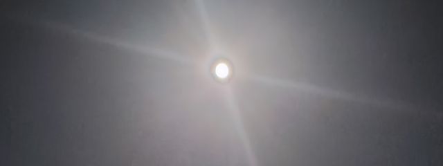 おもちさんの壁紙画像