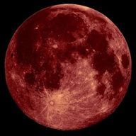 塩辛🦑💖さんのアイコン画像