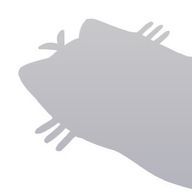 らぴすさんのアイコン画像