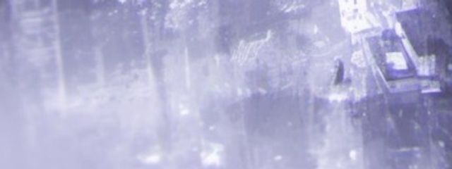 黎さんの壁紙画像