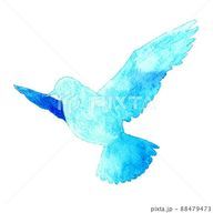 音羽さんのアイコン画像