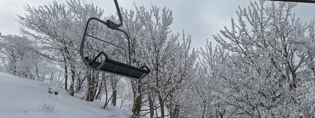 dh6dh25さんの壁紙画像