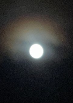 主と雑談しよ〜