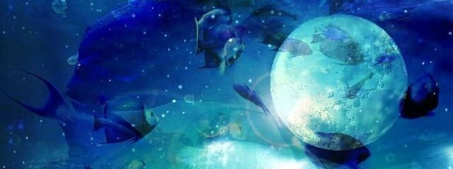 未夜さんの壁紙画像
