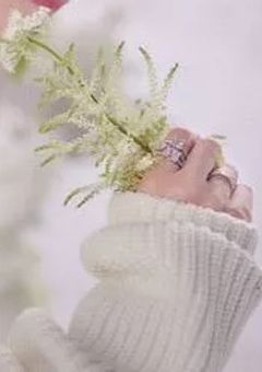 月下美人　任務遂行