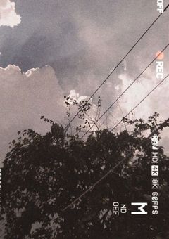 　✦⌇﻿ 友