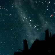 黒猫💜🔪♣️‪さんのアイコン画像