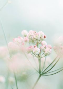 tag🏷𓈒𓏸︎︎