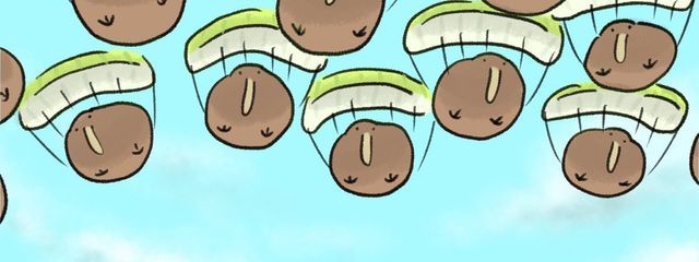 きぅい🥝さんの壁紙画像