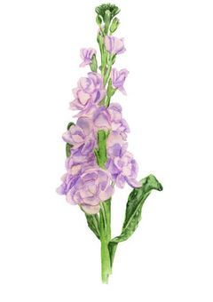 【Njsj】"クール系最強ヒーロー"サン達…？