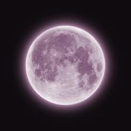 ♡♡さんのアイコン画像