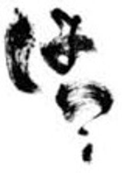 闇に染め上げようとしたらなんか来たんだが