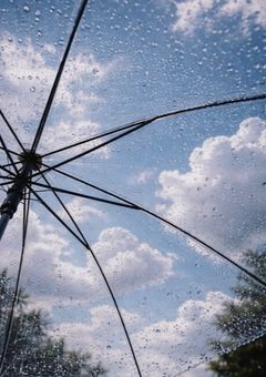 同じ傘の下で