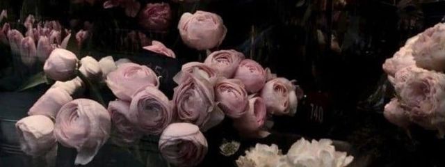 なⳣﾞなさんの壁紙画像