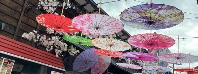 樫さんの壁紙画像