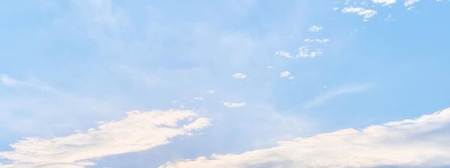 jasmine ＠不定期さんの壁紙画像