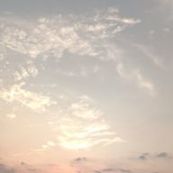 ただの絵好き☆さんのアイコン画像